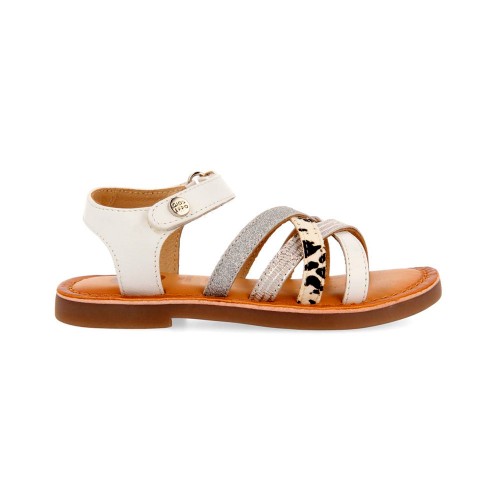 GIOSEPPO 65842POCONE